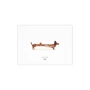Paper Collective - Doug the Dachshund, 40 x 30 cm