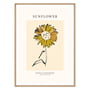 artvoll - Sunflower Poster by Rowan Sterenberg, Eiche natur, 21 x 30 cm