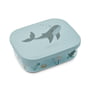 LIEWOOD - Arthur Lunchbox mit Deckel, Tritan, sea creature, sandy
