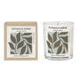 Broste Copenhagen - Botanica Verde, Ø 7,4 x H 8,3 cm, weiß