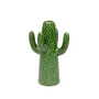 Serax - Cactus Vase, M, green urban jungle