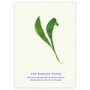 Paper Collective - The Ramson Pesto Poster, 100 x 140 cm