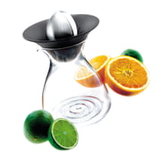 Eva Solo - Fruchtpresse mit Glaskanne