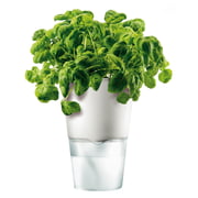 Eva Solo - Kräutertopf Ø 11 cm