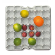 Korn Produkte - Eierschale aus Beton