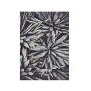 IXXI - Polaroids from Saint Laurent (Lemholt)