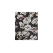 IXXI - Pfingstrosen (Lemholt)