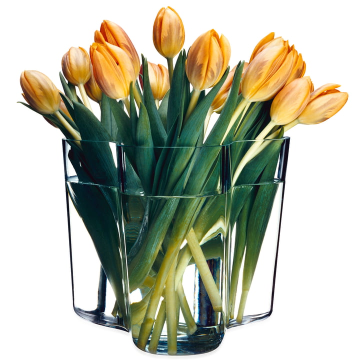 Alvar Aalto Vase mit frischen Tulpen