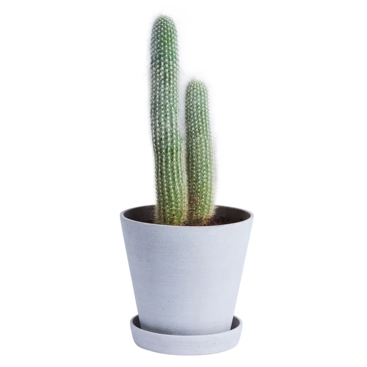 Der HAY - Flowerpot with Saucer in L, grau