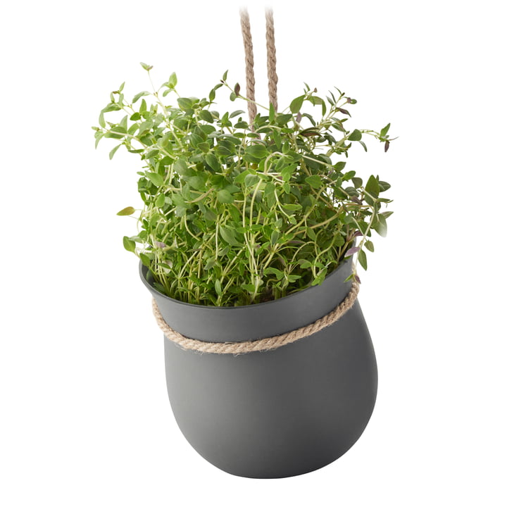 Grow-It Kräutertopf von Rig-Tig by Stelton