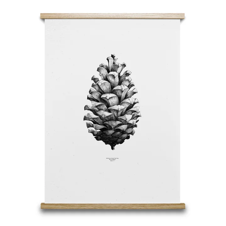 Paper Collective - STIICK Magnetischer Bilderrahmen, eiche - Nature 1:1 Pine Cone (weiß)