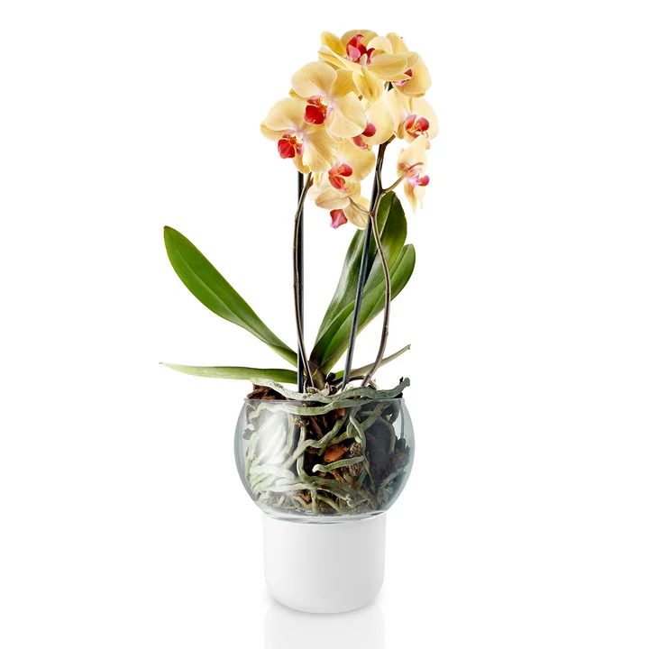 Selbstbewässernder Orchideentopf Ø 15 cm von Eva Solo