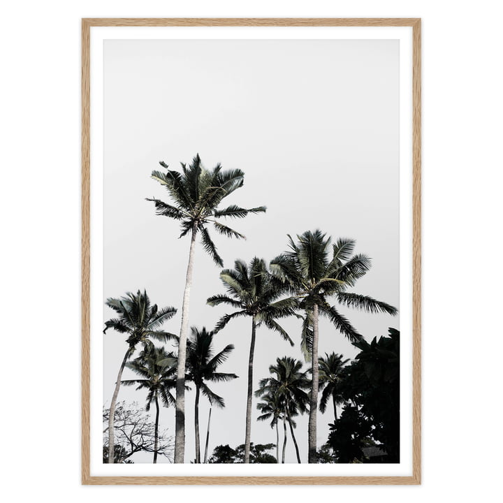 artvoll - Palm Tree III Poster mit Rahmen, Eiche natur