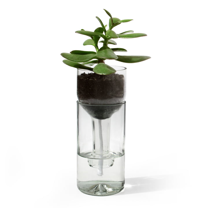 Der Self Watering Bottle Blumentopf von side by side in klarglas
