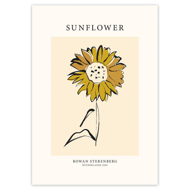 Das Mother Nature, Sunflower - Poster von artvoll ohne Rahmen