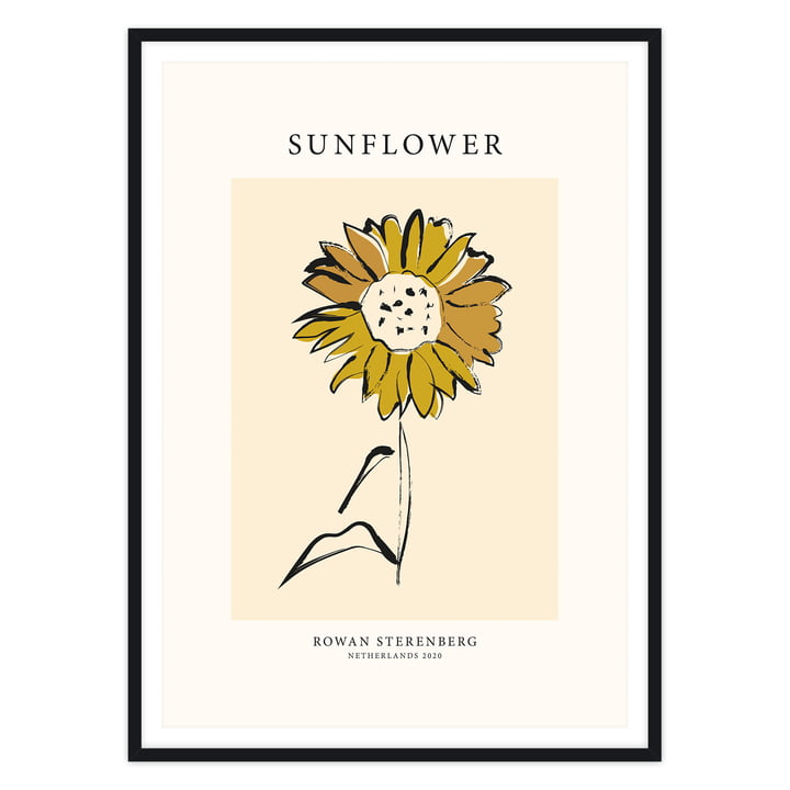Das Mother Nature, Sunflower - Poster von artvoll mit Rahmen, schwarz