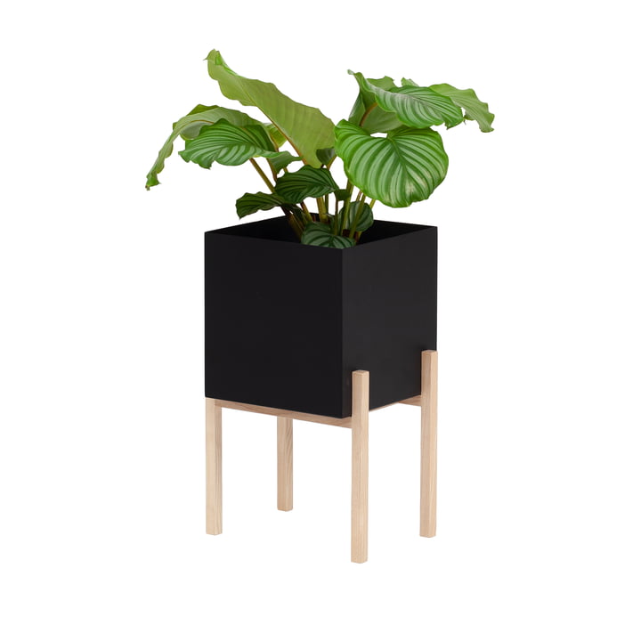 Der Botanic Pedestal Pot von Design House Stockholm, schwarz / natur