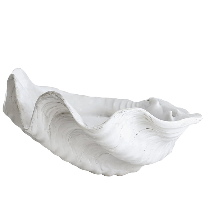 Muschel Schale groß von Mette Ditmer in weiß
