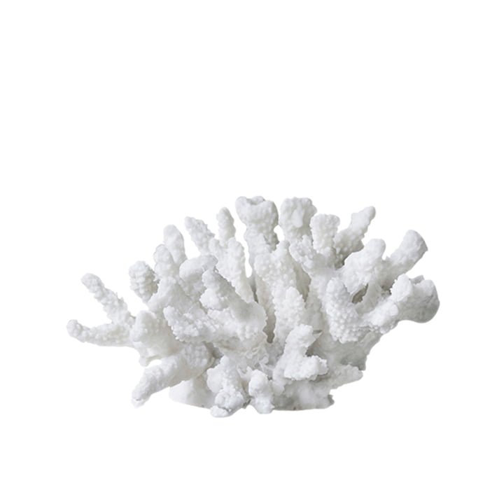 Coral Deko-Objekt Zweige groß von Mette Ditmer in weiß
