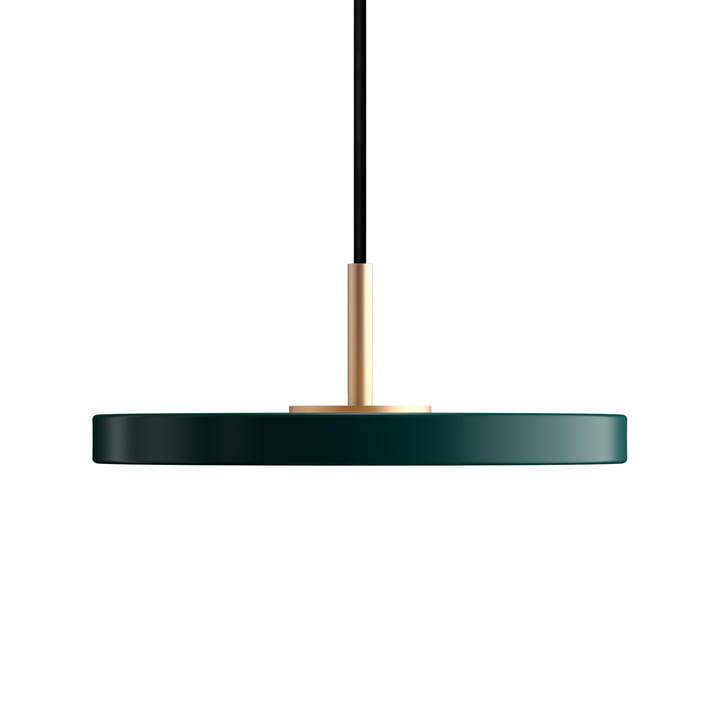 Asteria Micro LED-Pendelleuchte in Messing / forest green von Umage