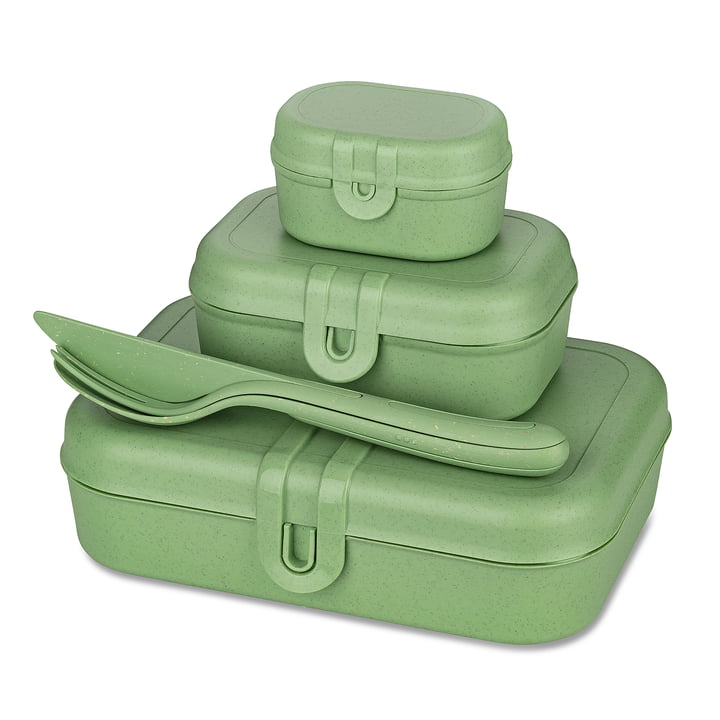Pascal Ready Lunchbox-Set mit Klikk Besteck, nature leaf green von Koziol