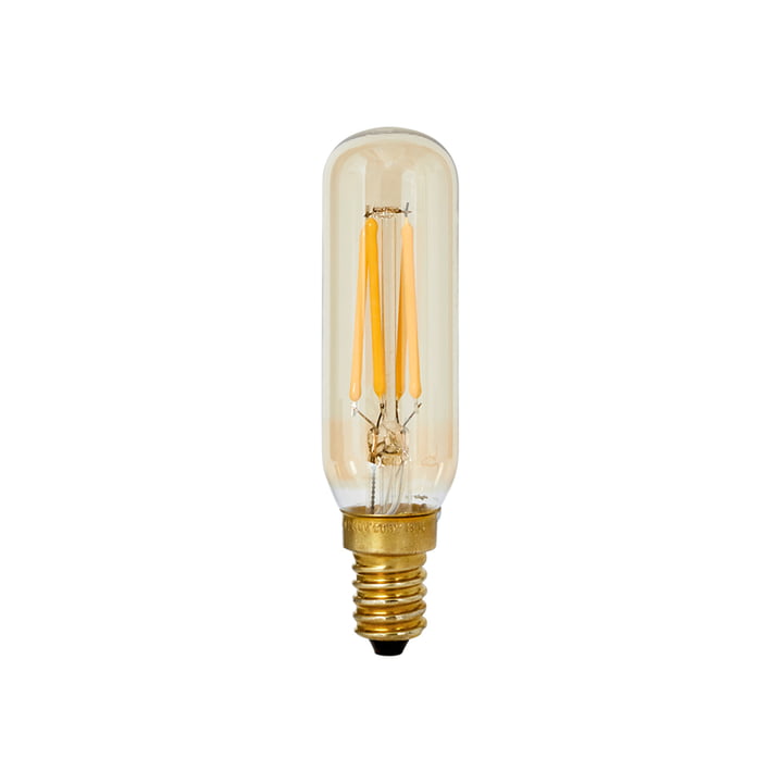 Totem LED-Leuchtmittel E14 3W, Ø 2 cm von Tala in transparent gelb