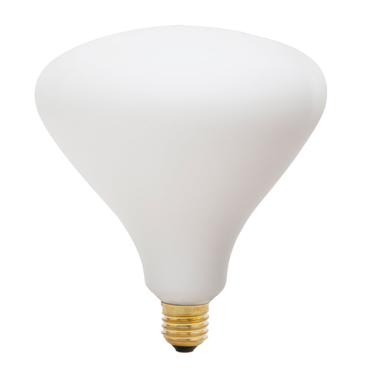 Noma LED-Leuchtmittel E27 6W, Ø 14 cm von Tala in weiß matt