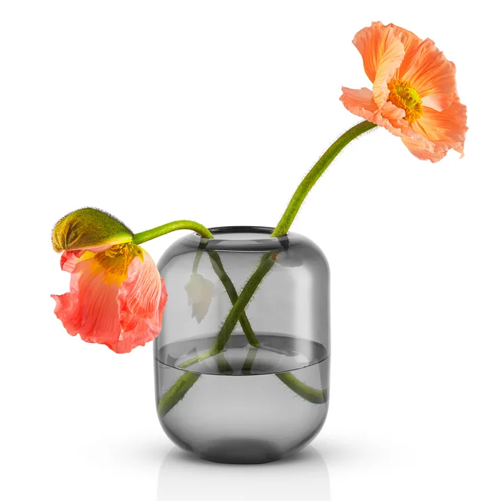 Die Acorn Vase von Eva Solo