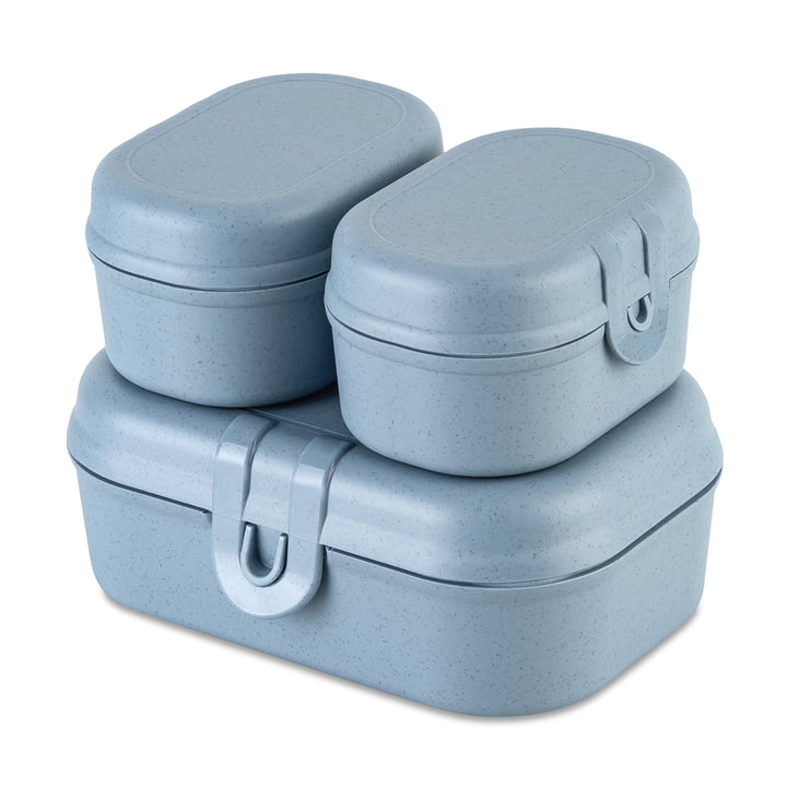 Koziol - Pascal Ready Mini Lunchbox-Set, nature flower blue (3er-Set)