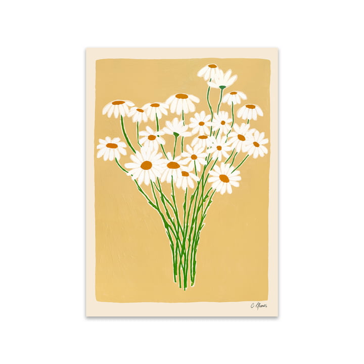 Daisies von Carla Llanos für The Poster Club 