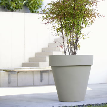 Der mit dem Rand XL von amei