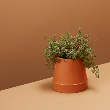 Der umgedrehte Blumentopf von Boskke