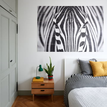 Zebra aus der Fotografie Kollektion von IXXI