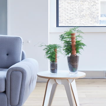 Totem Bewässerungskegel von Boskke