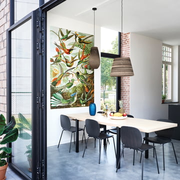 Kolibris (Haeckel) von IXXI