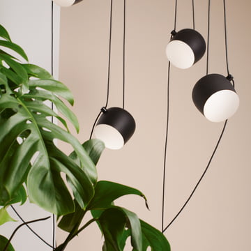 Die AIM LED-Pendelleuchte von Flos neben einer Zimmerpflanze