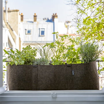 Pflanzen auf dem Balkon: Die Bacsac Pflanztasche