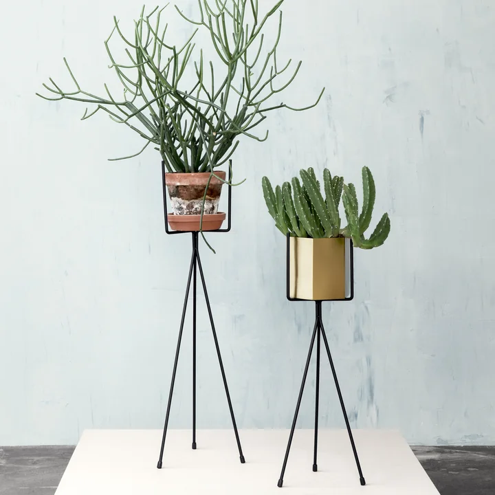 Plant Stand ist in zwei Größen
