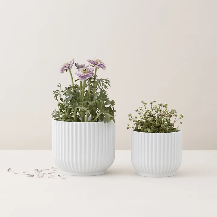 Blumentopf von Lyngby Porcelæn
