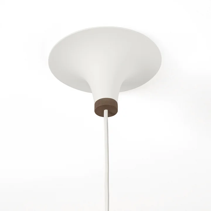 Acorn Pendelleuchte von northern lighting