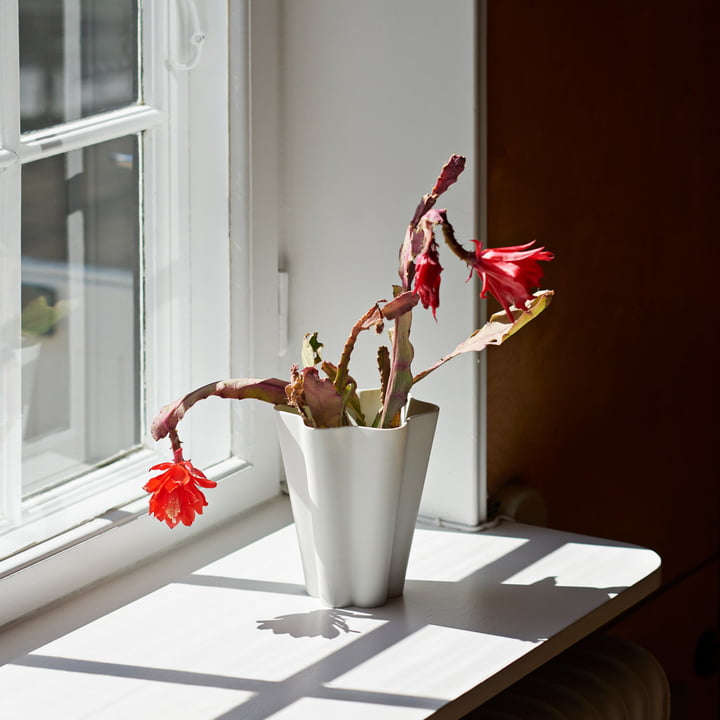 Die Hay - Iris Vase in weiss