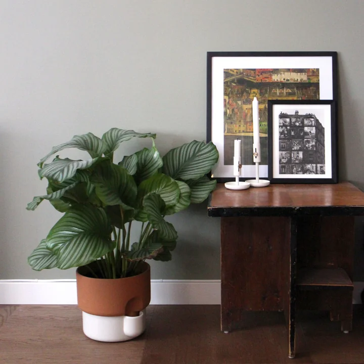 Rudi Wulff Homestory - Pflanztopf