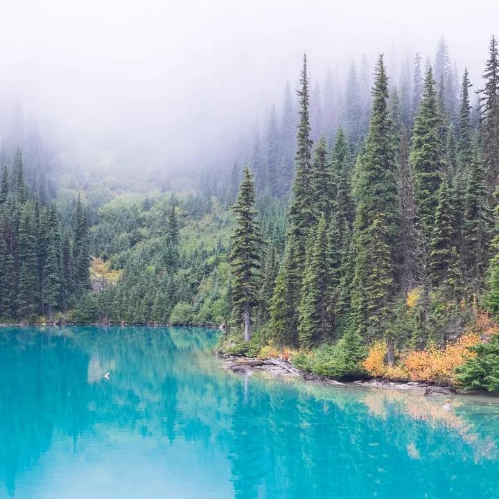 Ambientebild Wald See Iittala