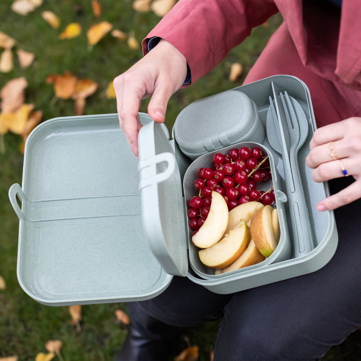 Pascal Ready Lunchbox-Set mit Klikk Besteck von Koziol in organic grey