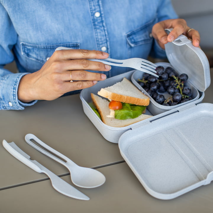 Pascal Ready Lunchbox-Set mit Klikk Besteck von Koziol in organic grey