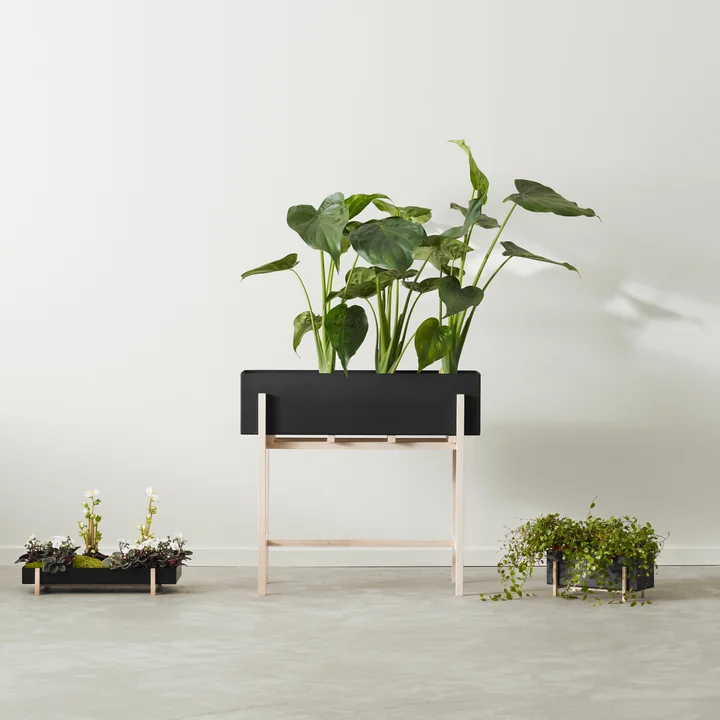 Botanic Box von Design House Stockholm 