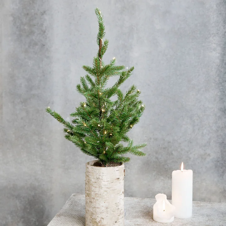 Weihnachtsbaum mit LED-Beleuchtung von House Doctor