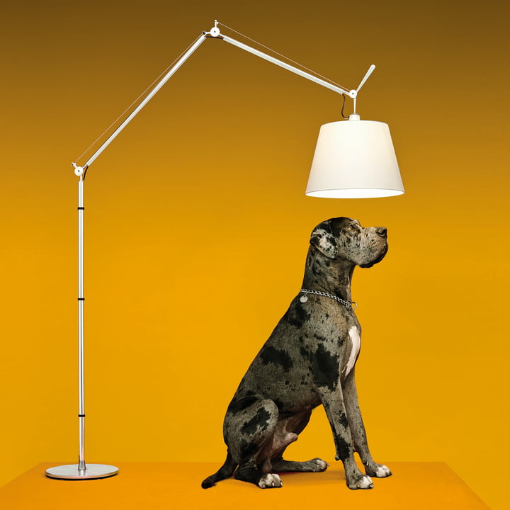 Tolomeo Mega LED-Stehleuchte von Artemide 