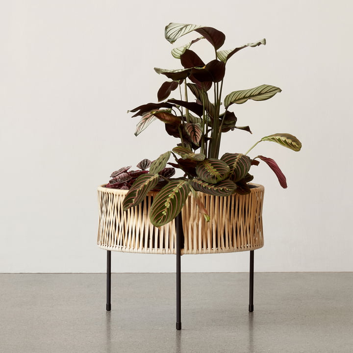 Der Umanoff Pflanztopf Ø 41 x H 32,5 cm, Rattan / schwarz ( (RAL 9005) von Audo eignet sich für Innen und Außen