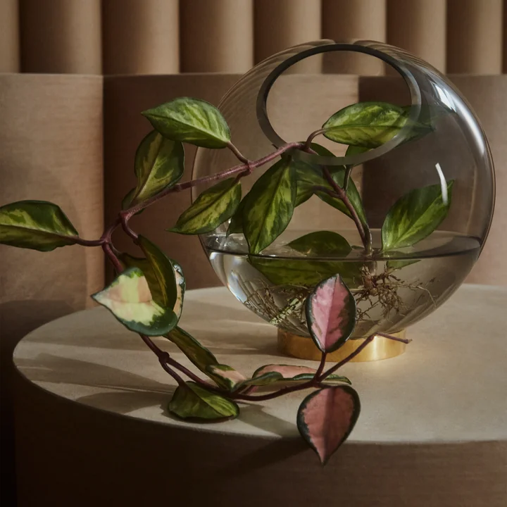 Die Globe Vase von AYTM gefüllt mit Wasser und einer langstieligen Pflanze